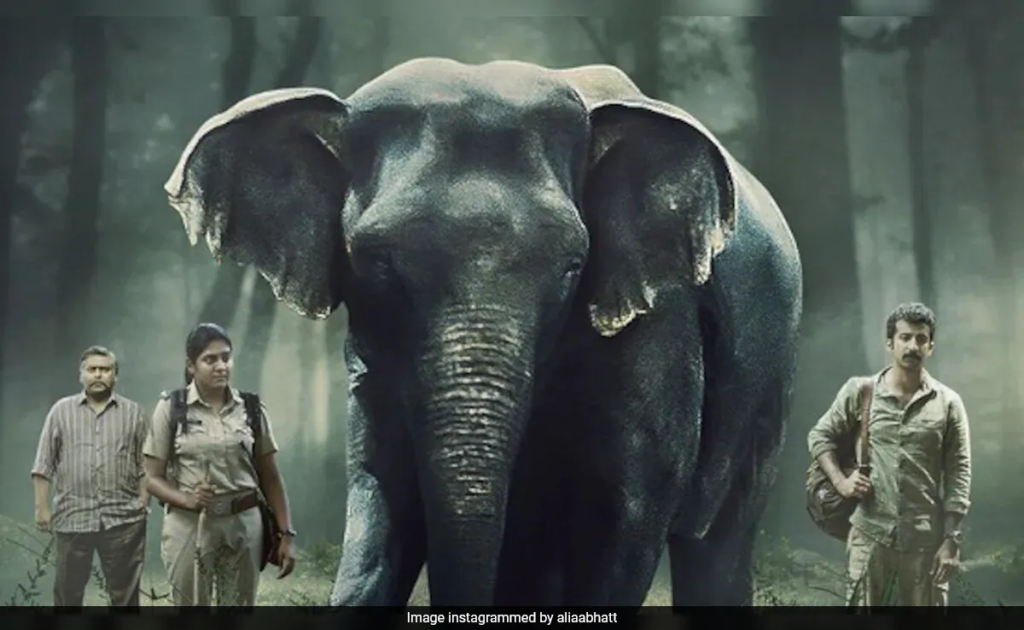 Unveiling the Intrigue: Poacher Trailer Offers a Detailed Exploration of India's Elephant Poaching Crisis